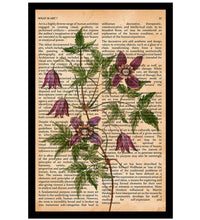 Vintage Book Art - Alpine flowers